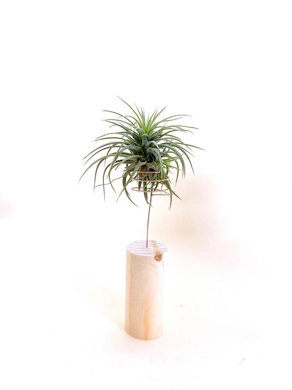 هوازی ایونانتا با پایه چوبی ۱