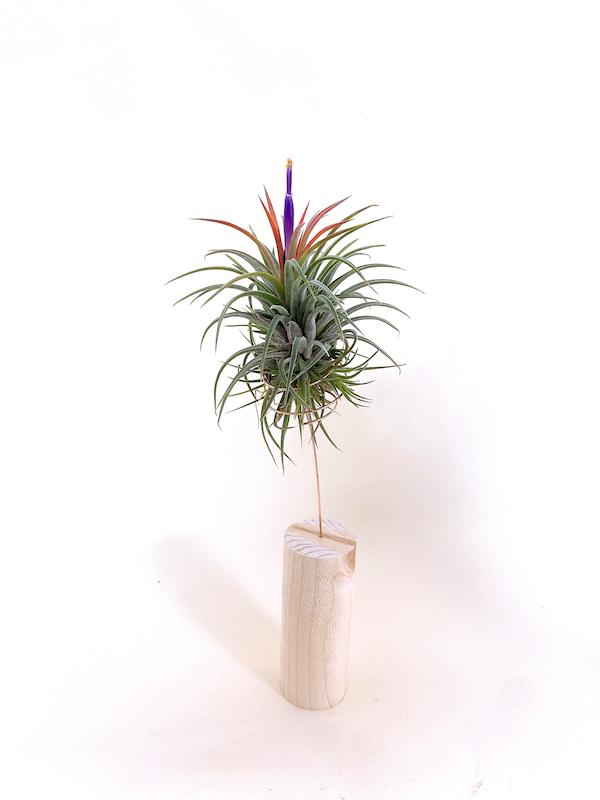 هوازی آیونانتا گلدار ۴