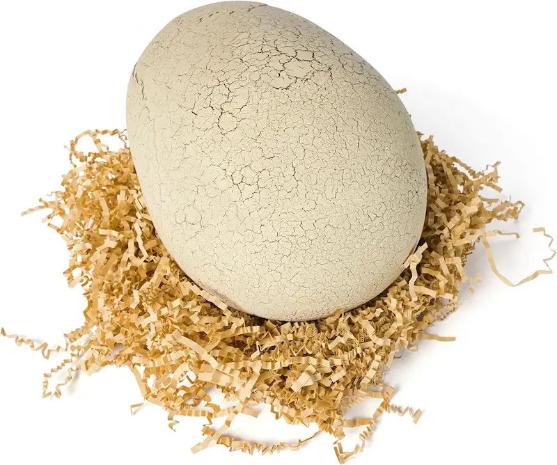تخم واقعی تیرکس(primal hatch) 