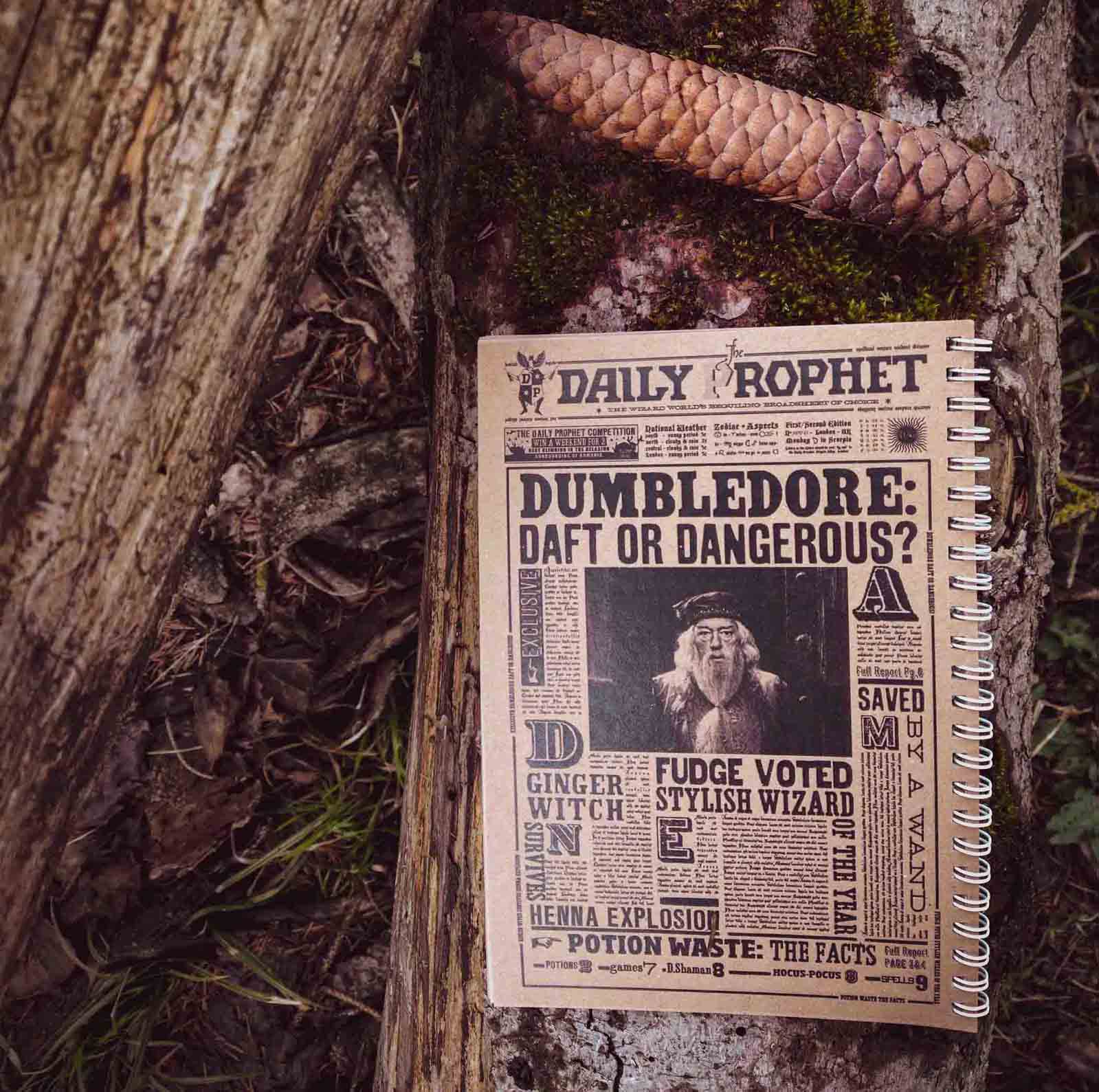 دفتر یادداشت روزنامه دیلی پرافت با تیتر دامبلدور در جنگل