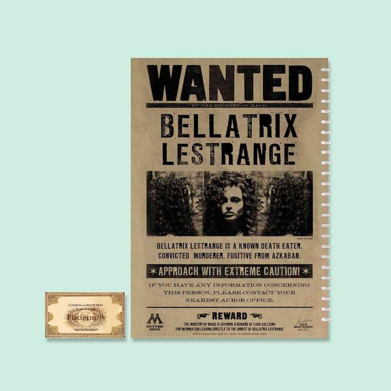 دفتر مدل بلاتریکس لسترنج به همراه بلیط هاگوارتز