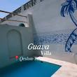 ویلای بَشَغ (گواوا)