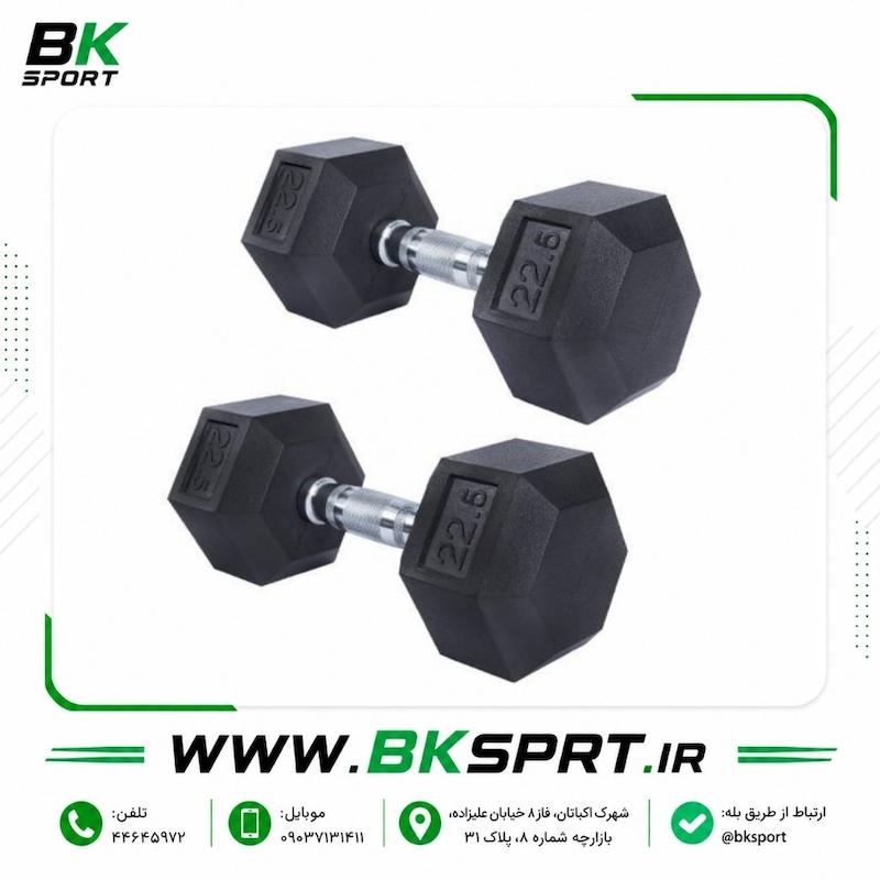 دمبل شش ضلعی روکش رابر 22.5 کیلوگرم