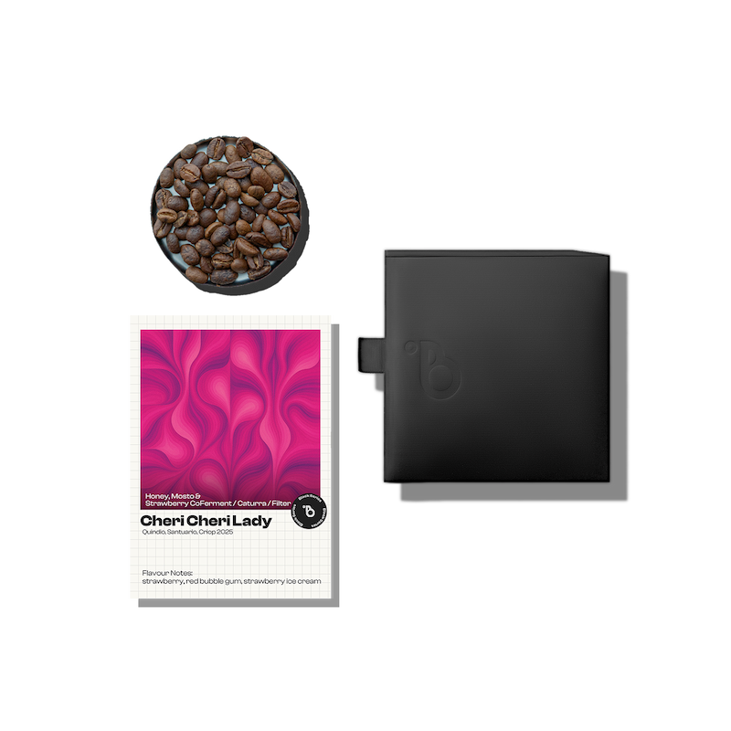 چری چری لیدی