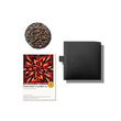 کلمبیا True Berry