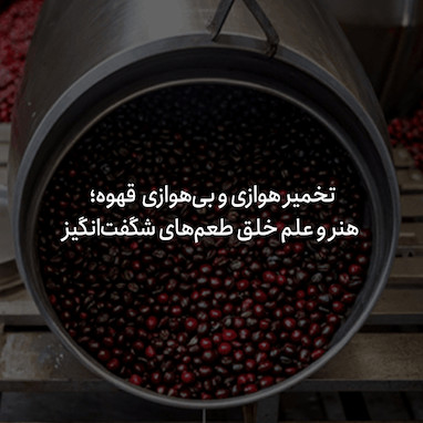 تخمیر هوازی و بی‌هوازی قهوه؛ هنر و علم خلق طعم‌های شگفت‌انگیز