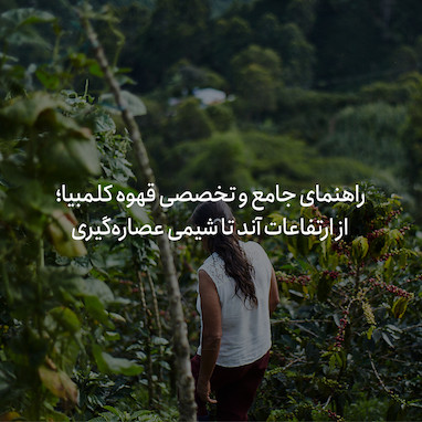 راهنمای جامع و تخصصی قهوه کلمبیا؛ از ارتفاعات آند تا شیمی عصاره‌گیری