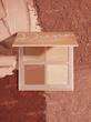 پالت آرایشی چندکاره شیگلم مدل 3D Pro Face Palette رنگ Dune 