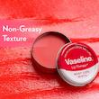 بالم لب کاسه ای اورجینال وازلین / vaseline  با طعم رز مدل Rosy  20gr 