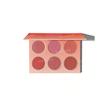 پالت رژگونه 6 رنگ شیگلم SHEGLAM FLORAL FLUSH BLUSH PALETTE BLUSHING BOUQUE 