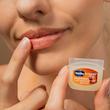 بالم لب کره کاکائو وازلین 25gr | vaseline lip therapy 