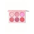 پالت رژگونه 6 رنگ شیگلم SHEGLAM FLORAL FLUSH BLUSH PALETTE BLUSHING BOUQUE