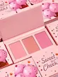 پالت رژگونه سه رنگ شیگلم SHEGLAM مدل Sweet Cheeks رنگ Enamored 
