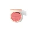 رژگونه پودری شیگلم SHEGLAM مدل Divine Flush Matte Blush رنگ  High & Dry