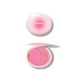 پالت رژگونه شیگلم SHEGLAM مدل Cheek to Cheek Duo رنگ pink sprinkles 