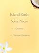 بادی میست ویکتوریا سیکرت رایحه Island Rush Victoria’s Secret Island Rush Fragrance Mist