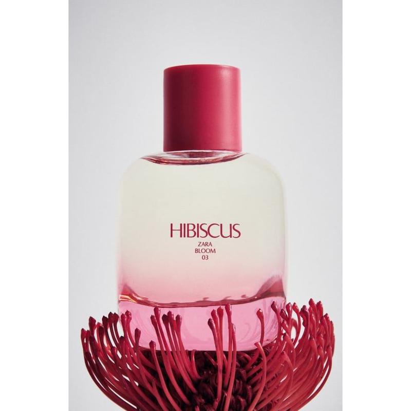 عطر زنانه زارا رایحه HIBISCUS | 100ml