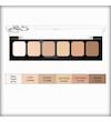 پالت کانسیلر كانتور گلدن رز Golden Rose CORRECT & CONCEAL Palette