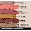 پالت صورت مورف Meredith Duxbury  MORPHE X MEREDITH DUXBURY POWDER MULTI-EFFECTS PALETTE – 16gr