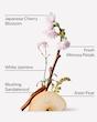 بادی میست بث اند بادی ورکز رایحه Japanese Cherry Blossom Fine Fragrance Mist 