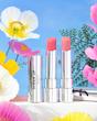 رژلب جامد براق sheer up فلورمار کد 001 harmony