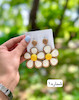 گوشواره کنفی
