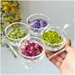 ست اردو خوری و پذیرایی تایوانی ۴ پیاله درب‌دار با سینی و قاشق 