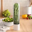 ظرف نگهدارنده سبزیجات تازه مدل Fresh Herb Saver | بلوکیش