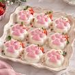 قالب پنجه گربه مناسب ژله و دسر