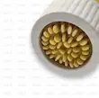 دستگاه رشته‌ساز با خروج ماکارونی تازه در ضخامت کوچک