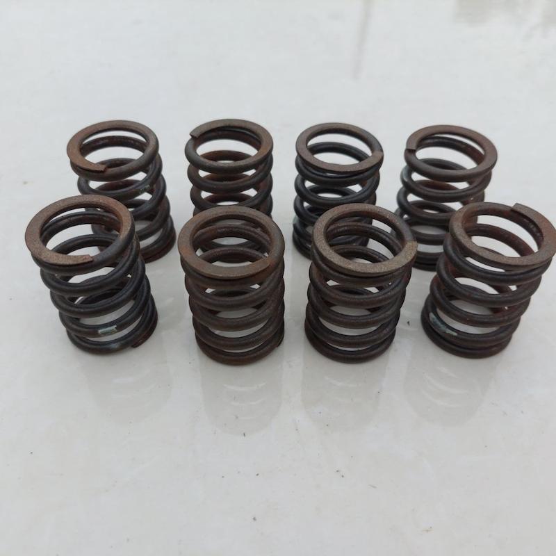 فنر سوپاپ M10