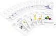 Sagrada: The Great Facades – Life