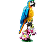 LEGO CREATOR 3in1 Exotic Parrot 31136