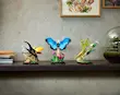 LEGO Ideas The Insect Collection 21342 لگو آیدیاز گالری حشرات شگفت‌انگیز
