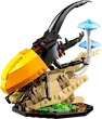 LEGO Ideas The Insect Collection 21342 لگو آیدیاز گالری حشرات شگفت‌انگیز