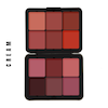 پالت رژگونه چرب/پودری فیوچر میکاپ FUTUER MAKEUP Blusher Cream Palette/POWDER FU102