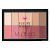 پالت کانتور و رژگونه چرب فیوچر میکاپ FUTURE MAKEUP Contour/Blush Cream Palette FU803