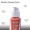 رژگونه مایع کارکتر Character CHEEK Rouge Liquid Blush