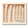 ست براش 6 عددی شیگلم SHEGLAM Pro Core Brush Kit 6PCS
