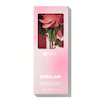رژگونه گل رز شیگلم SHEGLAM Pink Ribbon Rose Blush