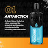 افترشیو کولون نیشمن 1 | Antarctica خنک و تازه