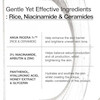 مزایای سرم آنوا Rice Ceramide 7 برای آبرسانی و تقویت سد دفاعی پوست