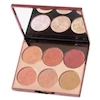 پالت رژگونه فیوچر میکاپ FUTURE MAKEUP Blush Palette FU4101