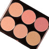 پالت رژگونه فیوچر میکاپ FUTURE MAKEUP Blush Palette FU4101