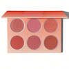 پالت رژگونه 6 رنگ شیگلم SHEGLAM Floral Flush Blush Palette Multicolor
