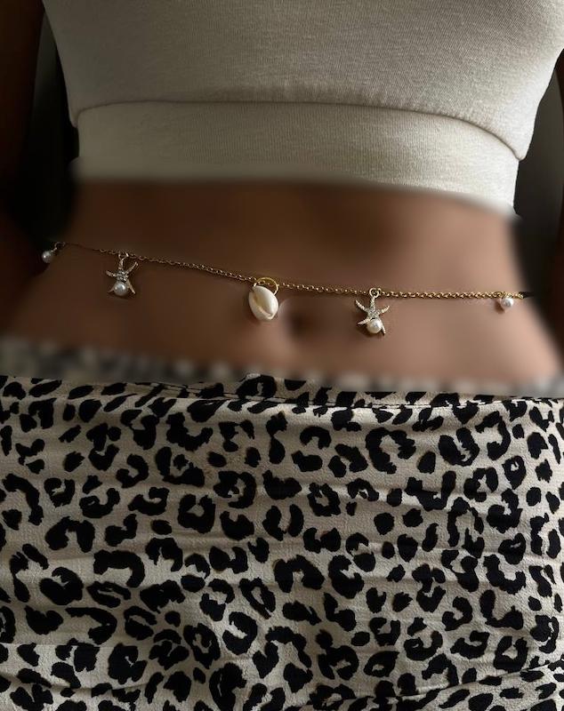 زنجیرشکم ستاره دریایی و صدف