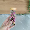شیشه ادویه مک کارتی