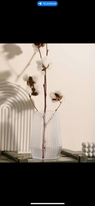 ایکیا مرجان