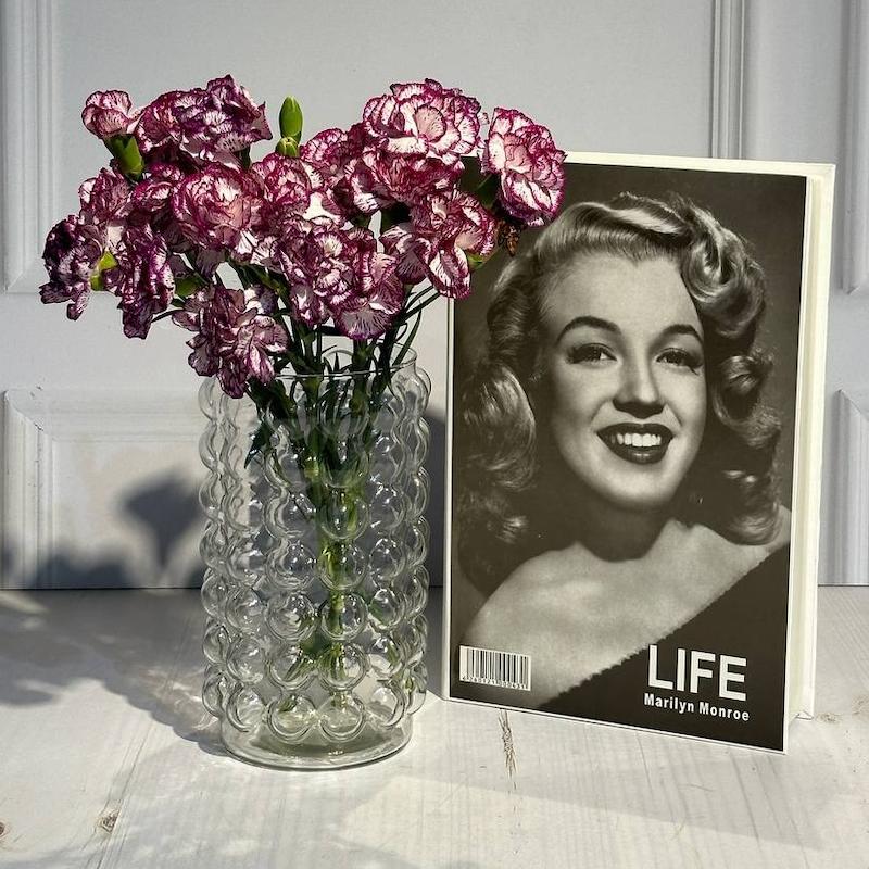 گلدان برفی کوچک 