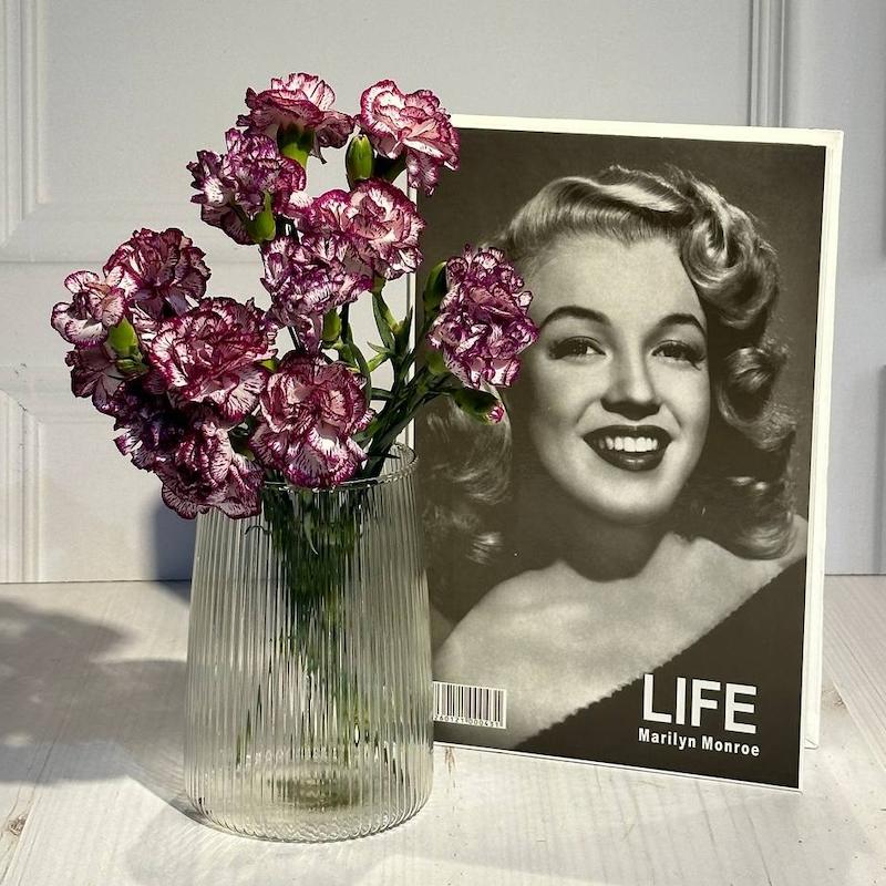 گلدان طرح دانژه